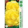 Begonijų svogūnėliai, lot. BEGONIA DOUBLE Geltonas, 2 vnt