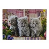 Bemag DEIMANTŲ DEIMANTŲ MOZAIKOS VAIKŲ DIENOS PAVEIKSLAS 20x30cm TRYS KATINĖS KATINAI