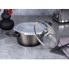 Berlinger Haus TITANIUM POT 24 CM INDUKCINIŲ DUJŲ NEPRIKLANTAS DALIS SU dangteliu