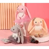 Bez Marki BUNNY BALETO SUKNELĖ MASKOTINĖ GLOBOS LĖLĖ DIDELIS VAIKŲ ŽAISLAS