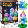 Bez Marki CRYSTAL GROWING CRYSTALS UGAVIMO RINKINYS 2IN1 LITTLE CHEMIST