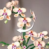 Bez Marki Dirbtinė orchidėja vazonėlyje Orchidėjų modelio kūrybinis rinkinys, statybiniai blokai