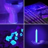 Bez Marki GALINGAS UV žibintuvėlis GINTARO PAIEŠKAMS, 12 šviesos diodų, 395 nm ULTRAVIOLETA + AAA baterijos