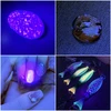 Bez Marki GALINGAS UV žibintuvėlis GINTARO PAIEŠKAMS, 12 šviesos diodų, 395 nm ULTRAVIOLETA + AAA baterijos