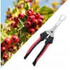 Bez Marki Hawthorn Jujube žnyplės Hawthorn Fruit Corer Easy Raudona Fruit Stone Remover