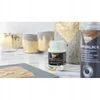 Bez Marki Home Design Art Decoзpastos Leaf Primer 50Ml