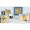 Bez Marki Home Design Art Decoзpastos Leaf Primer 50Ml