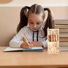 Bez Marki Ištrinami geliniai rašikliai su kapibara, 4 vnt. rinkinys