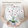 Bez Marki Konstrukciniai orchidėjos žiedų 3d kaladėlės, 536 elementai