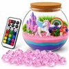 Bez Marki KŪRYBINGAS VIENRAGIS RINKINYS MAGICAL AQUA TERRARIUM DIY LED CRYSTAL LAMP