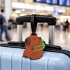Kelioninis Bez Marki Lagaminas Bagažo etiketė Kelionės ID Capybara Brown