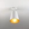 Lubinis šviestuvas Bez Marki Lampa Sufitowa Reflektor Sufitowy Vintage Baltas