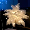 Bez Marki Lampka Nocna LED Dekoracyjna Ozdobna Na Biurko Piórka Na Baterie 35cm