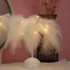 Bez Marki Lampka Nocna LED Dekoracyjna Ozdobna Na Biurko Piórka Na Baterie 35cm