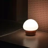 Bez Marki Led Nakties Lempa Vaikams, Medinė, Spalvų Keitimas, Nuotolinis Valdymas