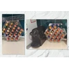 Bez Marki Nespresso Hexagon plexiglass kavos kapsulių stovas