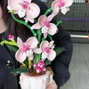Bez Marki ORCHIDĖJŲ BLOKAS 567 EL RAUŽOS GĖLĖS TAURELĖJE GRAŽIOJI DEKORATYVINĖ DĖŽUTĖ