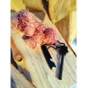 Bez Marki PIRMA SU KINDLING KIT SURVIVAL BUSHCRAFT LIGHTER
