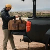 Bez Marki Tvirtas 35l kelioninis sportinis krepšys, rudas