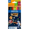 PIEŠTUKAI SPALVOTI BIC COSMO 12SPALVŲ