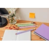 Bic Evolution Pastel Hb pieštukas su trintuku