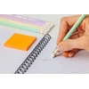 Bic Evolution Pastel Hb pieštukas su trintuku
