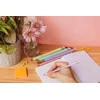 Bic Evolution Pastel Hb pieštukas su trintuku