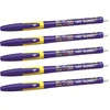 Bic Gel-ocity Illusion ištrinamas rašiklis, mėlynas, 5 vnt.