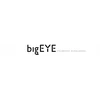 Bigeye Fotochrominiai poliarizuoti akiniai vairuotojams, aliuminis