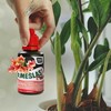 Biohumuso trąšos kambariniams augalams O Mesli Worm house 100ml