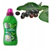 Biopon lauro trąšos 0,5 l