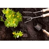 BIOVITA granuliuotas vištų mėšlas 10 l