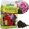 Biovita pelargonijų dirvožemis 20 l