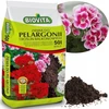 Biovita pelargonijų vazoninis dirvožemis 50 l