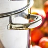 Biowin Nerūdijančio plieno garinė sulčiaspaudė SSW BIO FRUITS 8 l