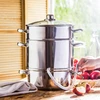 Biowin Nerūdijančio plieno garinė sulčiaspaudė SSW BIO FRUITS 8 l