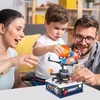 BLOKUOJA SAULĖS SISTEMĄ 757 ELEMENTAI LAIKOMOJI ŽAISLŲ PLANETOS MODELIS