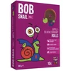 Bob Snail BOB Ślimak SNAIL obuolių/serbentų užkandis 100 gr