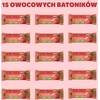 BOB SNAIL vaisių batonėlis OBUOLIŲ BRAKŠČIŲ ANARYDŽIAI be pridėtinio cukraus 15x35 g