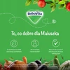 BoboVita Grūdų porcija, be pieno košė, manų kruopos, 4 m, 170 g