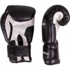 Boxing Gloves inSPORTline Metrojack