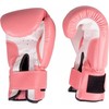 Boxing Gloves inSPORTline Ravna