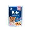 Brit Premium Delicate Fillets in Gravy su vištiena kačiukui 85 g