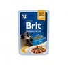 Brit Premium Delicate Fillets in Gravy su tunu 85 g