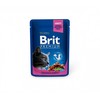 Brit Premium su vištiena ir kalakutiena 100 g
