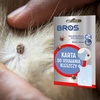 Trixie BROS ERČIŲ IR vabzdžių geluonių šalinimo KORTELĖ ŽMONĖMS IR GYVŪNAMS 1 PC.