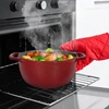 Browin 4 L emaliuotas ketaus puodas BURGUNDY katilas 24 cm indukcinė dujinė orkaitė