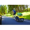 Burley Nomad Cargo Rack bagažinė dviračio priekabai Pilkas
