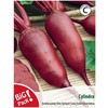 Burokėliai raudonieji Cylindra 10g 07840