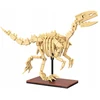 CaDA blokai Dinosaur GLOWING Skeleton Velociraptor 256 el C59014W